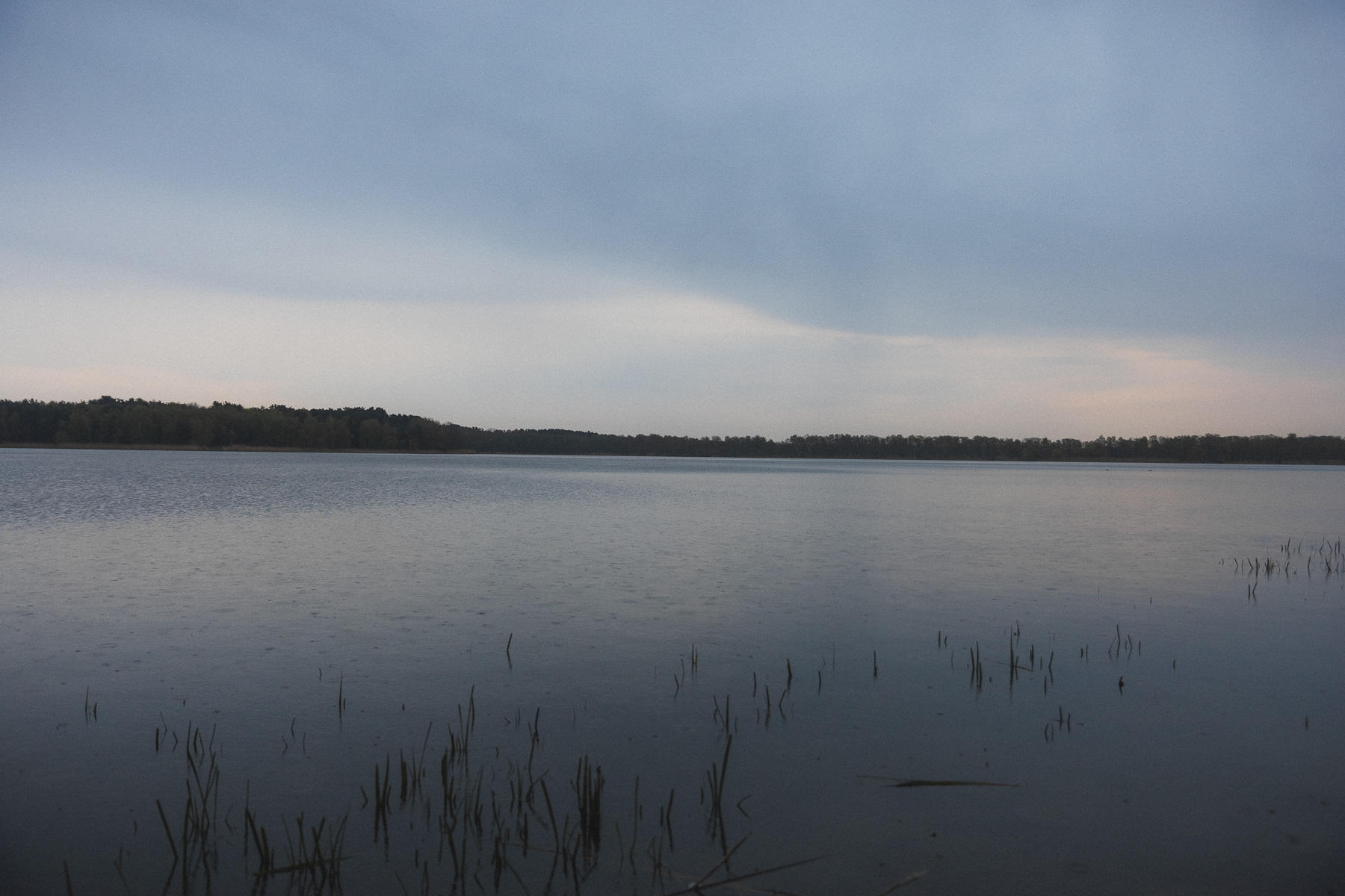 Image 14